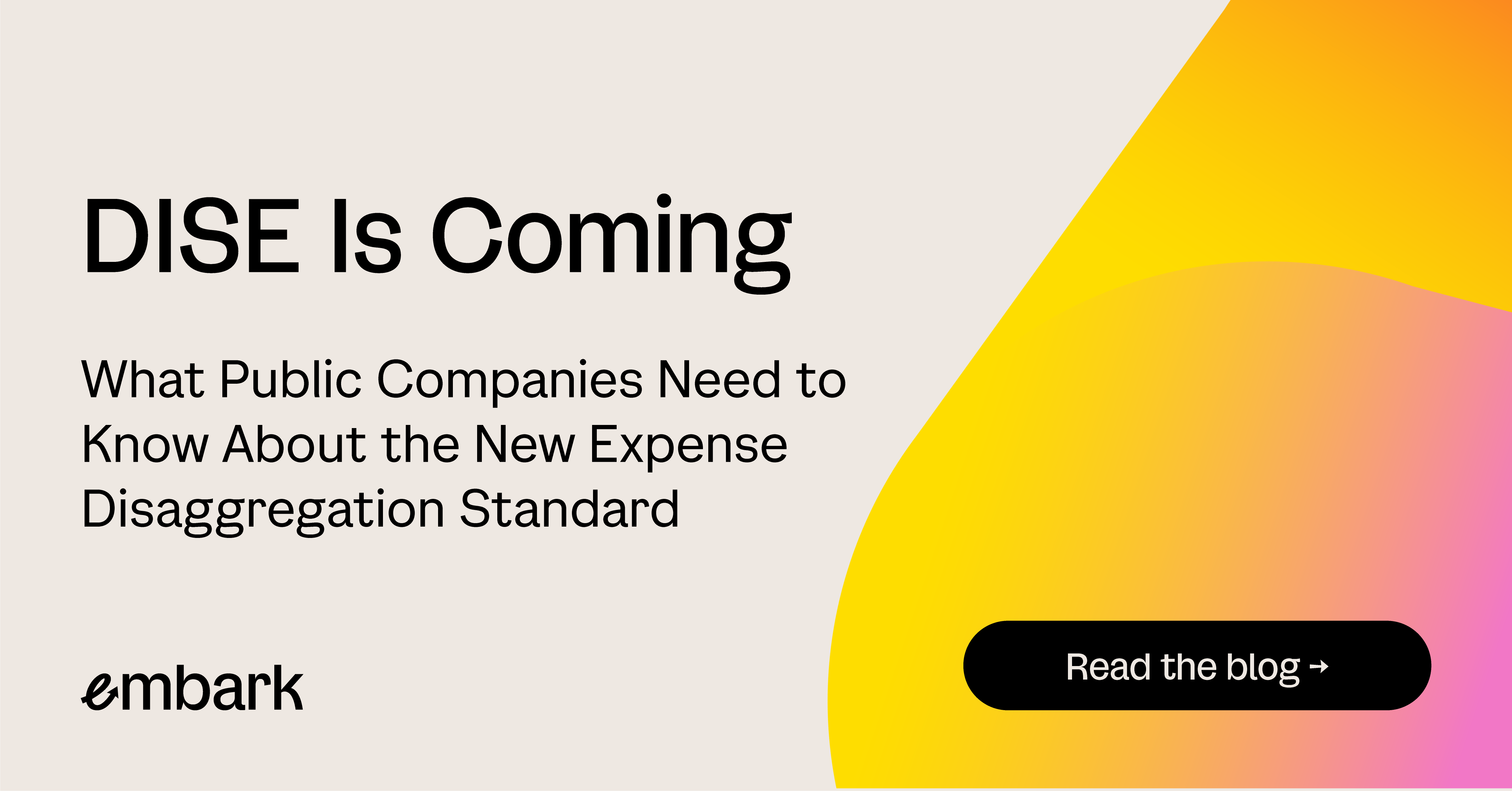 DISE Is Coming: What Public Companies Need to Know About the New Expense Disaggregation Standard
